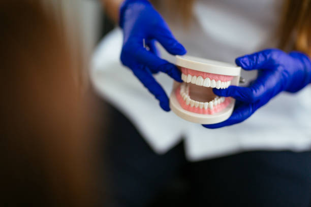 Best General Dentistry  in Bristol, IN
